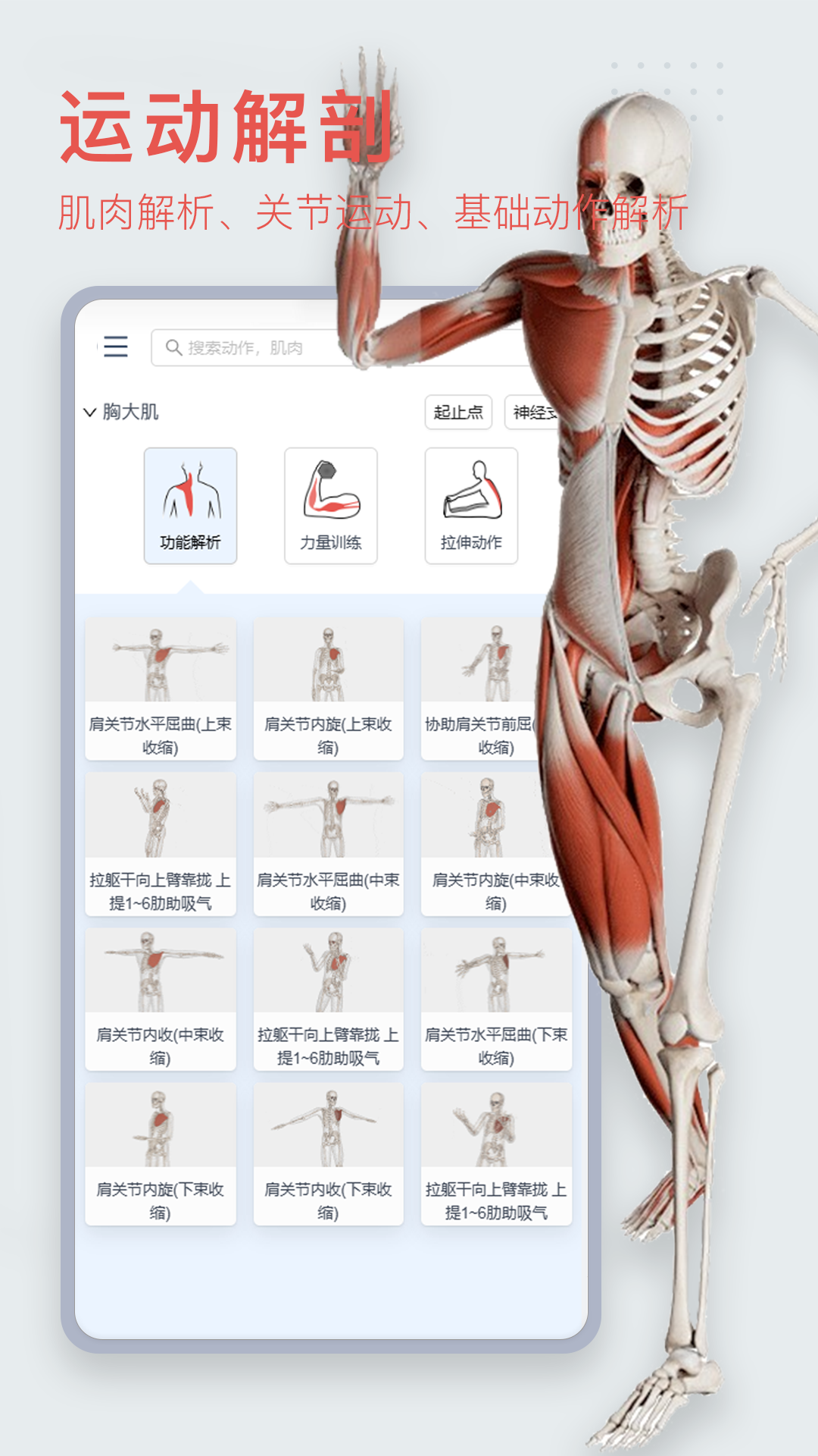 3Dbody解剖免費ios版 v8.7.70 iphone官方版 0