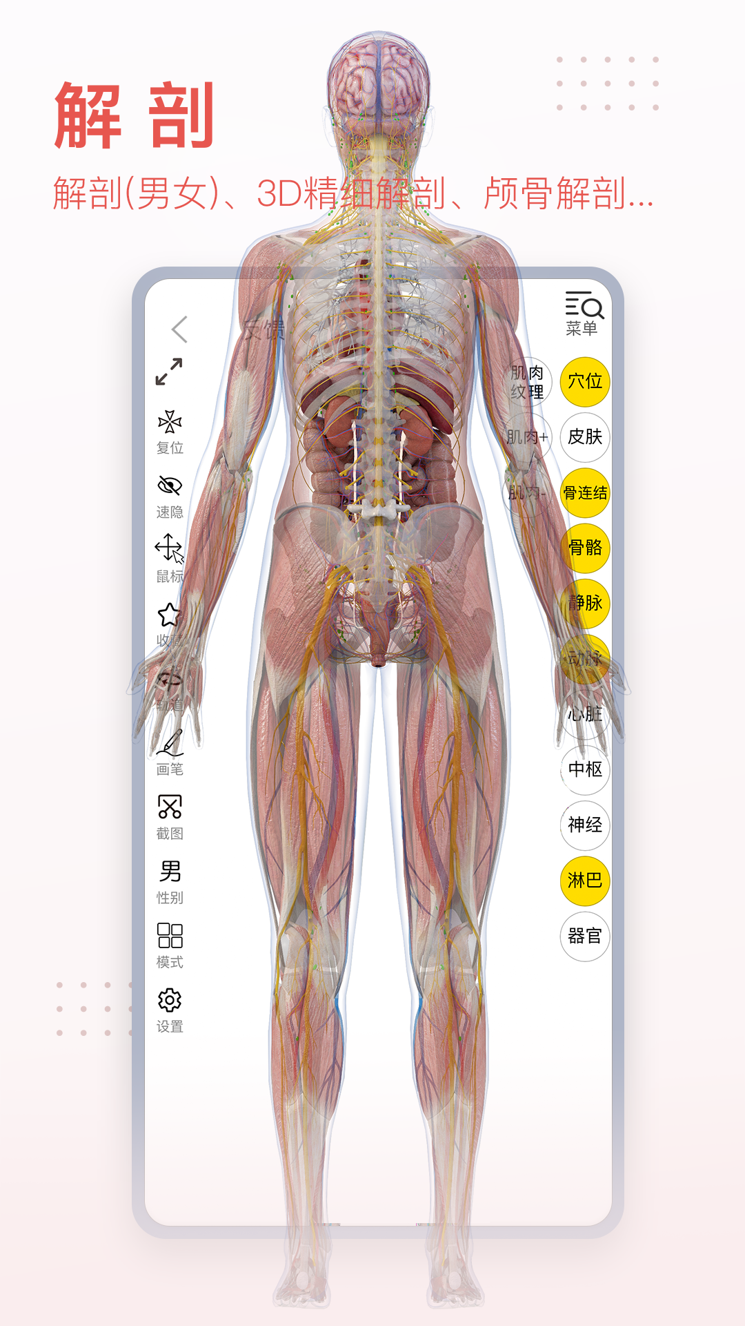 3Dbody解剖免費ios版 v8.7.70 iphone官方版 2