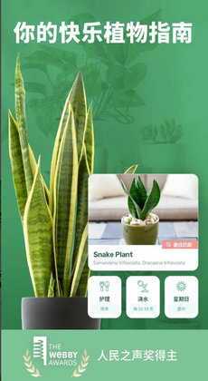 繁花盛開 v1.53.1 安卓版 0