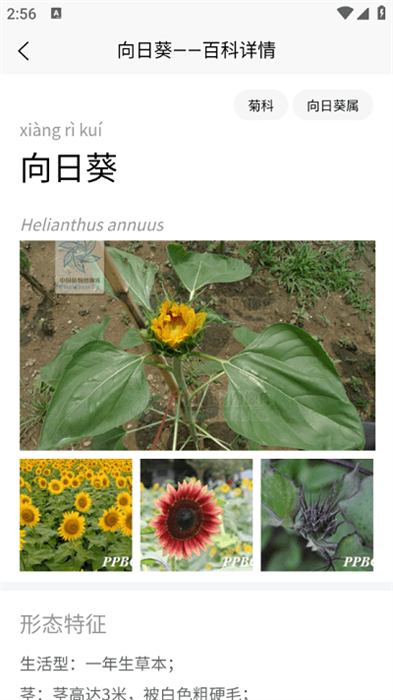 植物智 v2.10.24 安卓版 2