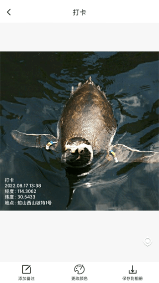 打卡定位最新版 v1.4.3.06062100 2