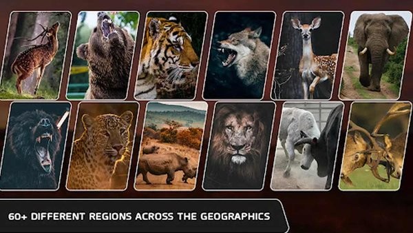 野鹿獵人 v2.1 安卓版 0