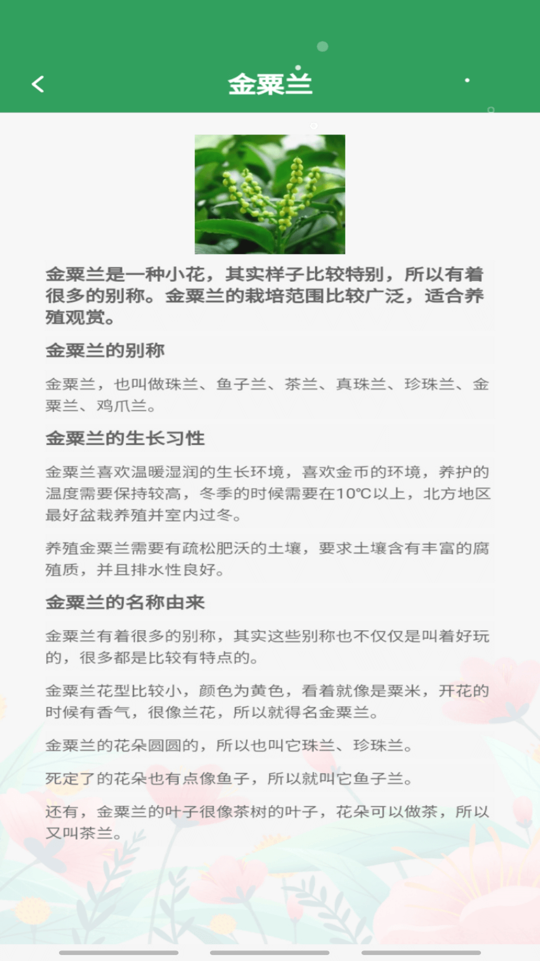 妙看世界 v1.0.6 安卓版 0