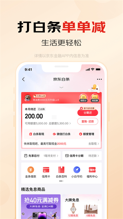 京東金融iphone版0