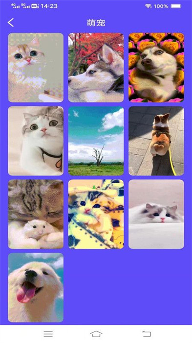 玉兔來電 v2.1.2.2 3