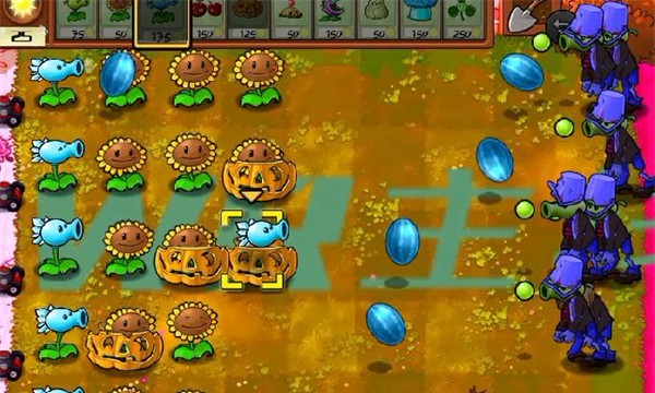 植物大戰(zhàn)僵尸WR版主線 v2.0.0 1