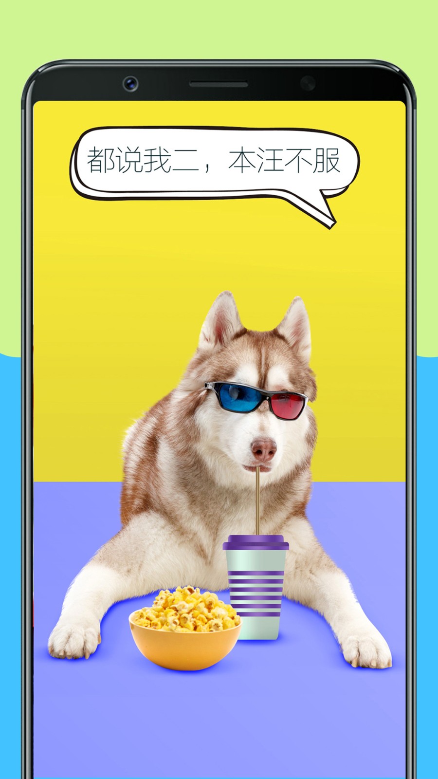 人狗訓(xùn)練翻譯器androidanimationdemo v3.1 安卓版 1