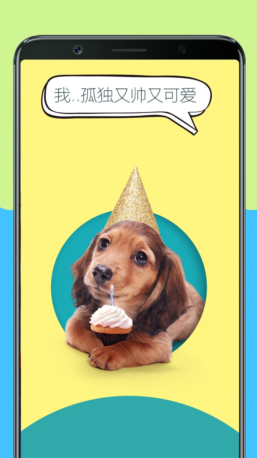 人狗訓(xùn)練翻譯器androidanimationdemo v3.1 安卓版 0