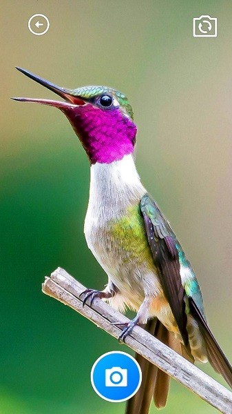 龍鳳工具箱 v1.0.0 最新版 0