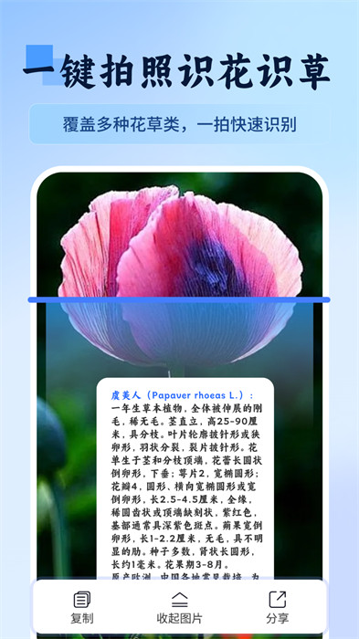 萬物識圖快拍易識別 v1.1 2
