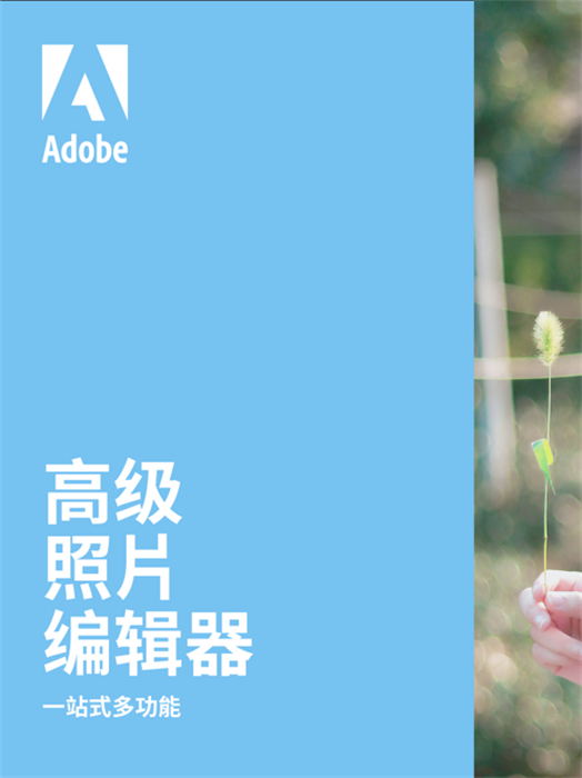 Adobe Photoshop Express ipad版 v24.1.0 ios版 6