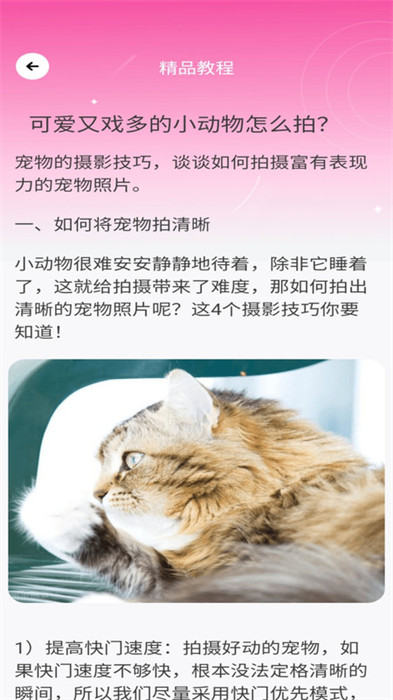 千顏秀 v1.0.4 最新版 2