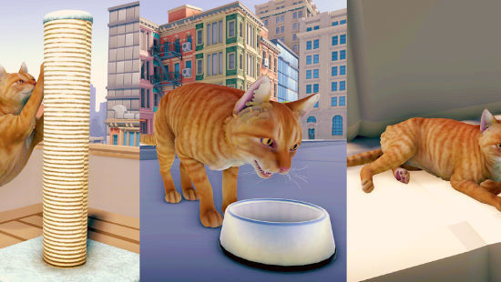 貓貓歷險記大都市 v1.1 1