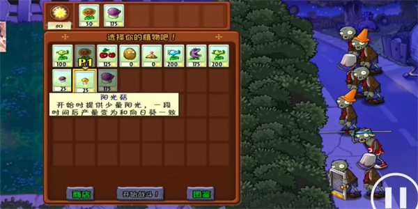 植物大戰(zhàn)僵尸荷版 v19d66c 安卓版 1