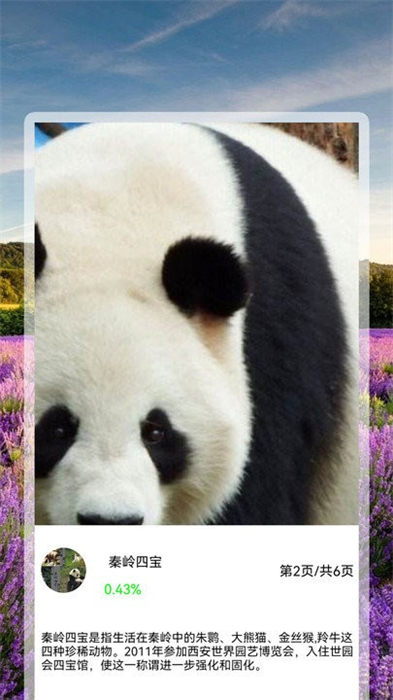 全能拍照識(shí)別精靈 v1.0.8 安卓版 2