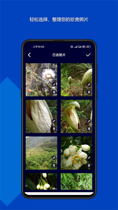 魔法音樂相冊 v23.12.19 3