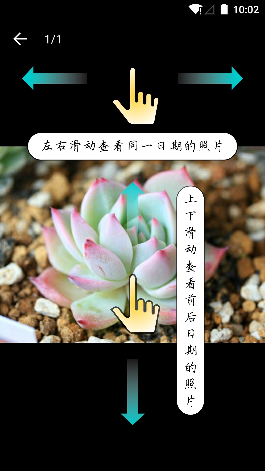 多肉成長(zhǎng)記 v5.0.0 安卓版 2