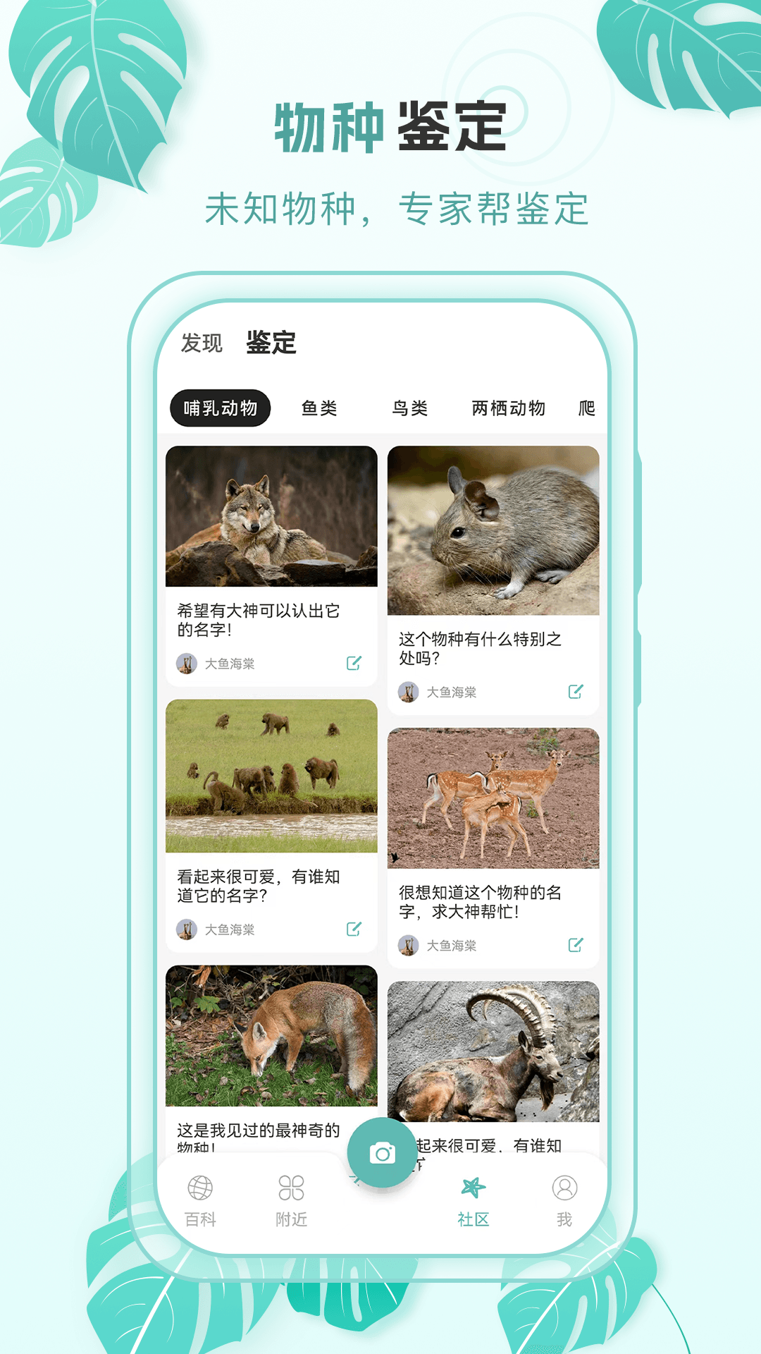 百科物语 v2.0.4 手机版3