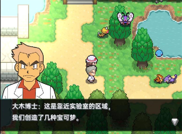 口袋妖怪黑白 v2021.08.04.17 安卓版 1