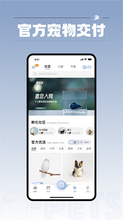 集寵區(qū)app測(cè)試版 v3.5.0 安卓版 4