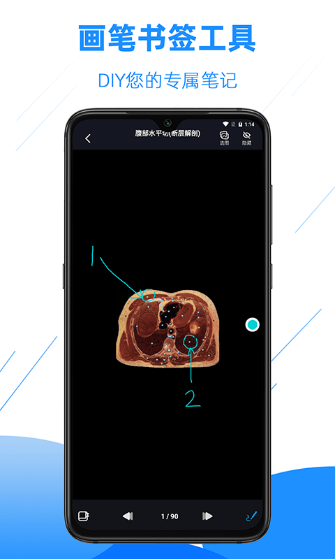醫(yī)學影像解剖圖譜 v4.2.0 安卓版 3