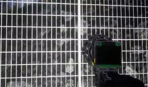 诡异动物园 v1.0.0 安卓版1