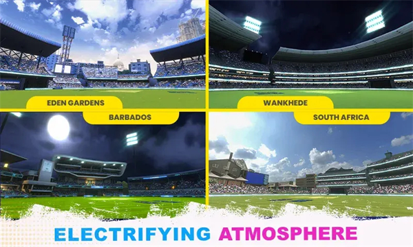 職業(yè)板球比賽 v1.0.37 安卓版 0