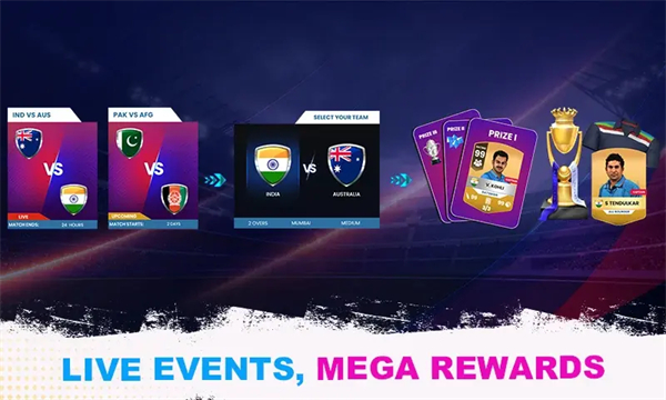 職業(yè)板球比賽 v1.0.37 安卓版 2