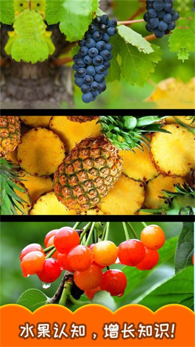 宝宝切水果 v3.575.43m 安卓版1