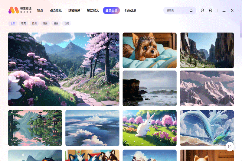 芒果壁紙 v2.3.10.0 pc版 3