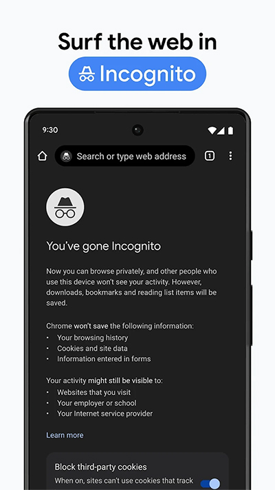 谷歌瀏覽器測(cè)試版beta國(guó)際版 v129.0.6668.54 安卓先行版 2
