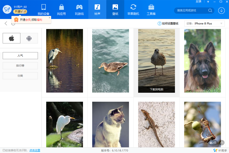 91助手pc版 v6.10.18.1793 官方最新版 1