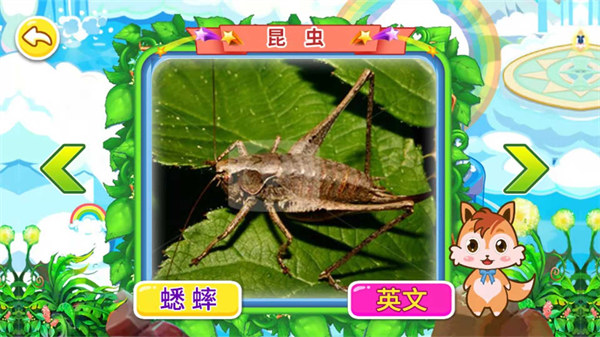 寶寶兒童動(dòng)物世界手機(jī)版 v3.78.47c 安卓版 0