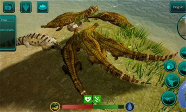 詛咒之島直裝版 v0.9.8.9.1 手機(jī)版 0