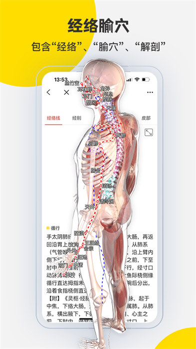 3dbody三維免費人體解剖軟件 v8.8.44 安卓版 0