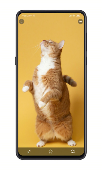 紙?zhí)帘诩堊钚掳?v2.0.12 官方安卓版 2