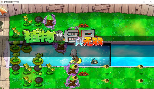 植物大戰(zhàn)僵尸真無雙版 v1.0.0.1 PC版 4