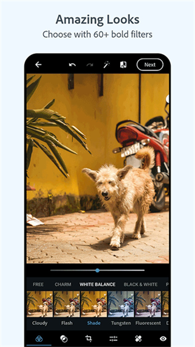 Photoshop Express v16.5.255 安卓版 2