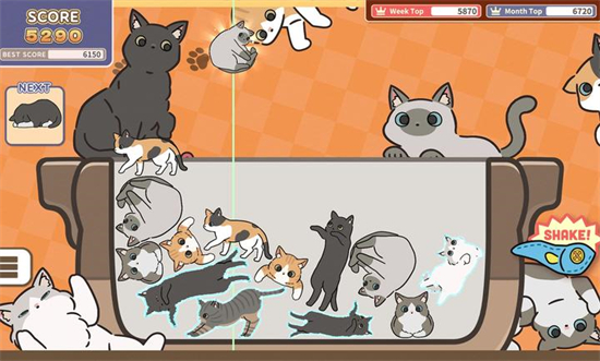 猫猫三重奏 v1.0.0 手机版1