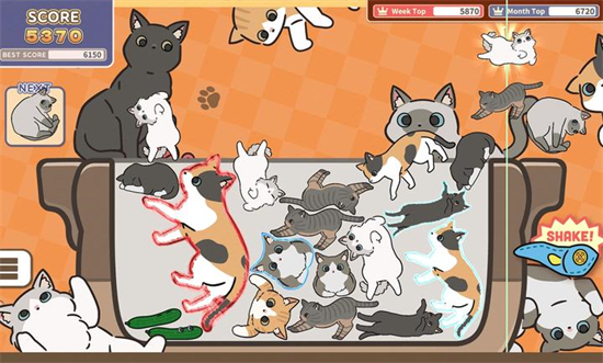 猫猫三重奏 v1.0.0 手机版2