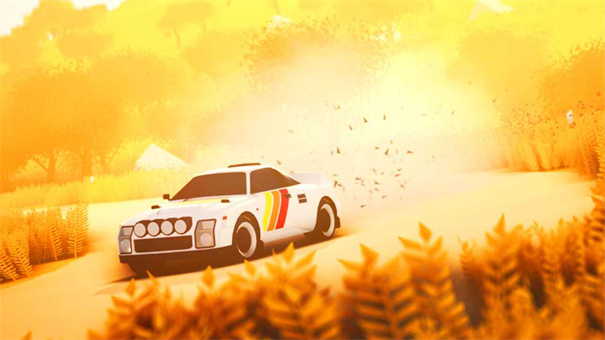 拉力赛艺术 v1.001 安卓版0