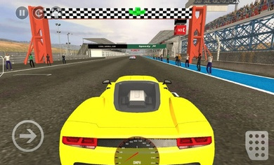 真正的赛车大师 v0.1 安卓版0