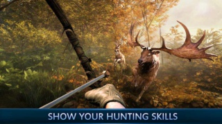 动物狙击手 v1.1.0 安卓版2