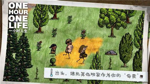 你是希望 v2.13.0.217 安卓版2