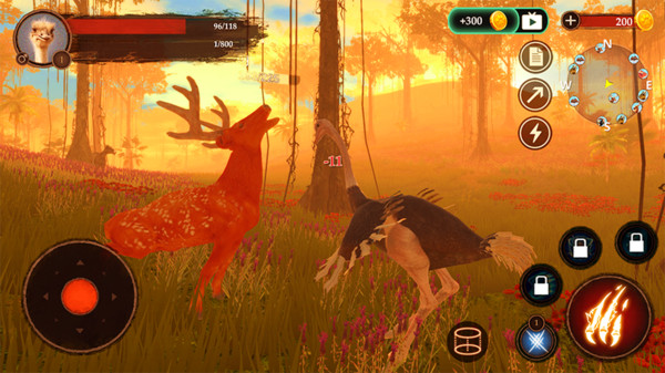 鸵鸟模拟器 v1.0.1 安卓版2