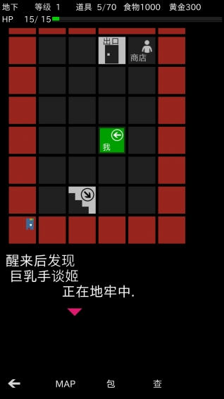 地牢武士 v1.0 安卓版1