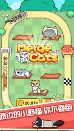 跑跑云养猫 v0.4 安卓版0