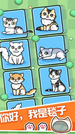 跑跑云养猫 v0.4 安卓版2