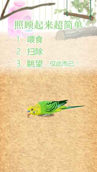 治愈的鹦鹉育成 v1.1 安卓版2