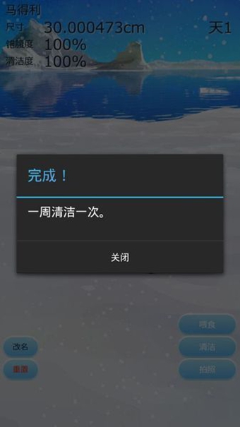 治愈的企鹅育成 v1.0 安卓版0